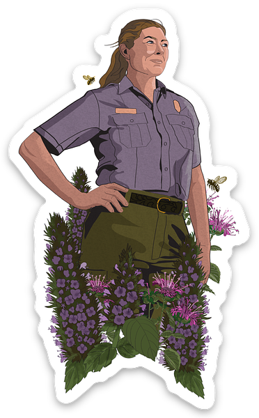 large-10.png Ranger4