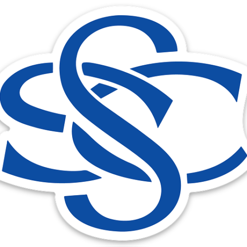 Blue Motorsports Sticker