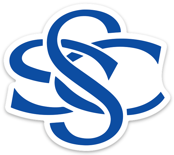 Blue Motorsports Sticker