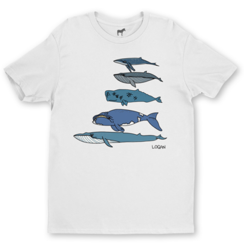 large-1064.png Whale-Themed Collection