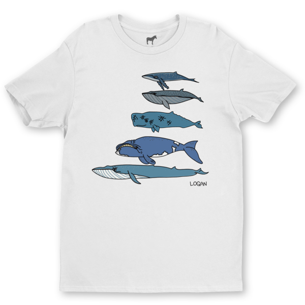 Whale-Themed Collection