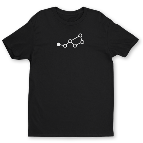 large-1076.png Casserole Pro T-Shirt