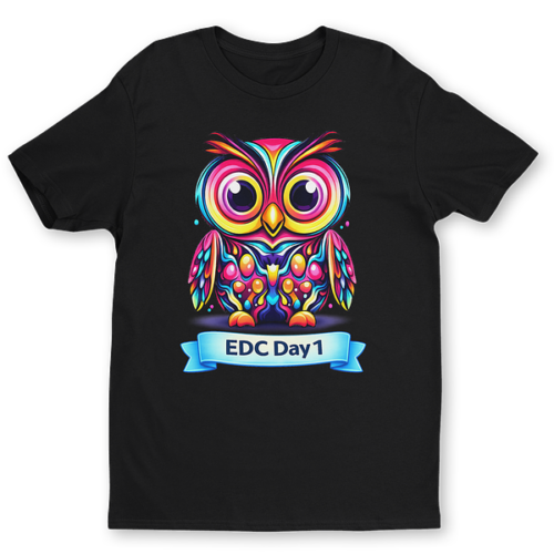 large-224.png EDC Day1-3 Flipside