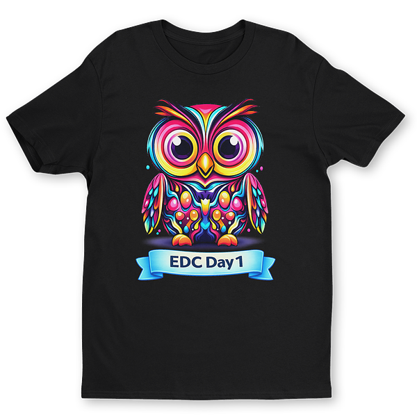 EDC Day1-3 Flipside