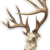 Bohling