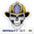 BrightStarSkullStickersV41