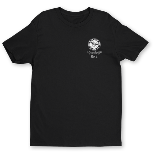 I Sound Irish St. Paddy 2026 Shirt