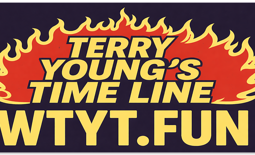 large-739.png WTYT.Fun Bumper Sticker 7.5 x 3.75 in