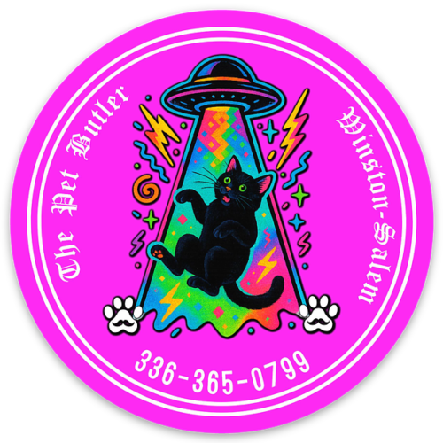large-783.png Cat Abduction Fridge Magnet